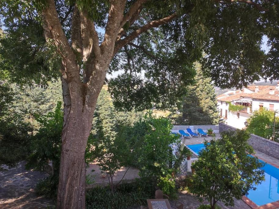 فيلا Casa Pomar - Preciosa Casa Con Piscina Y Vistas A La Sierra غراثاليما المظهر الخارجي الصورة